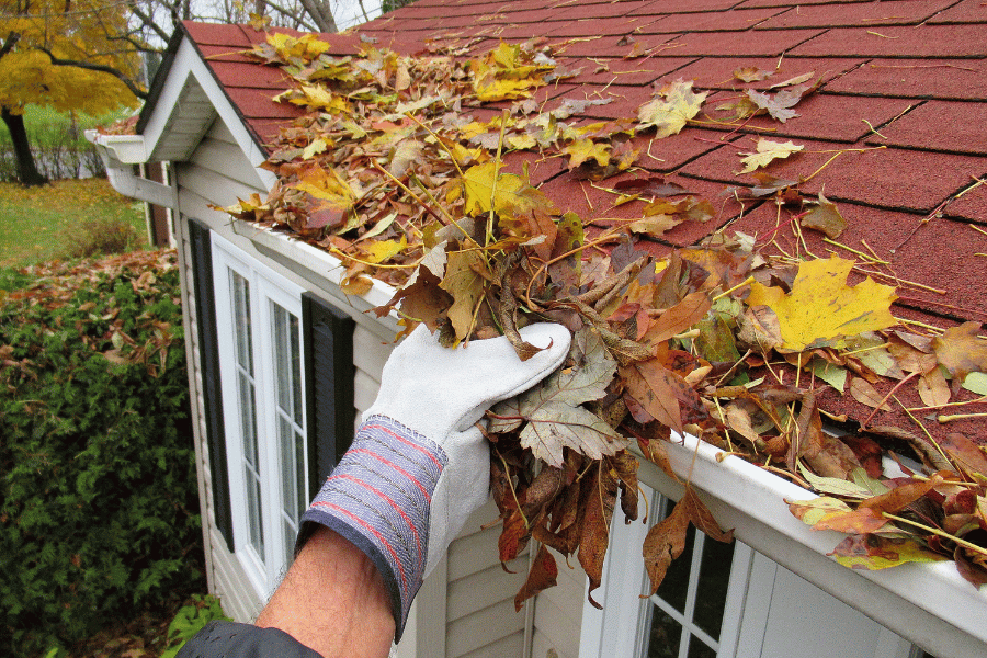 homeowner completing home maintenance by cleaning gutters of leaves